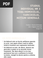 Studiul individual nr 3