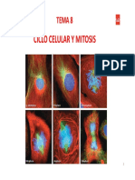 Tema 8 División Celular Mitosis-2019