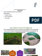 Presentación1- Ambiental II