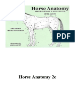 Horse Anatomy 2e - Peter C. Goody