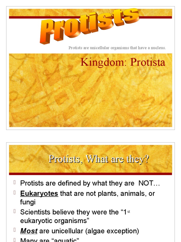 Kingdom: Protista: Protists Are Unicellular Organisms That Have A ...