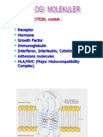 Biomol Translet