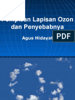 Penipisan Lapisan Ozon Dan Penyebabnya: Agus Hidayat