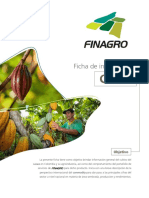 Área Sembrada, Producción y Rendimientos de Cacao a Nivel Nacional. FINAGRO