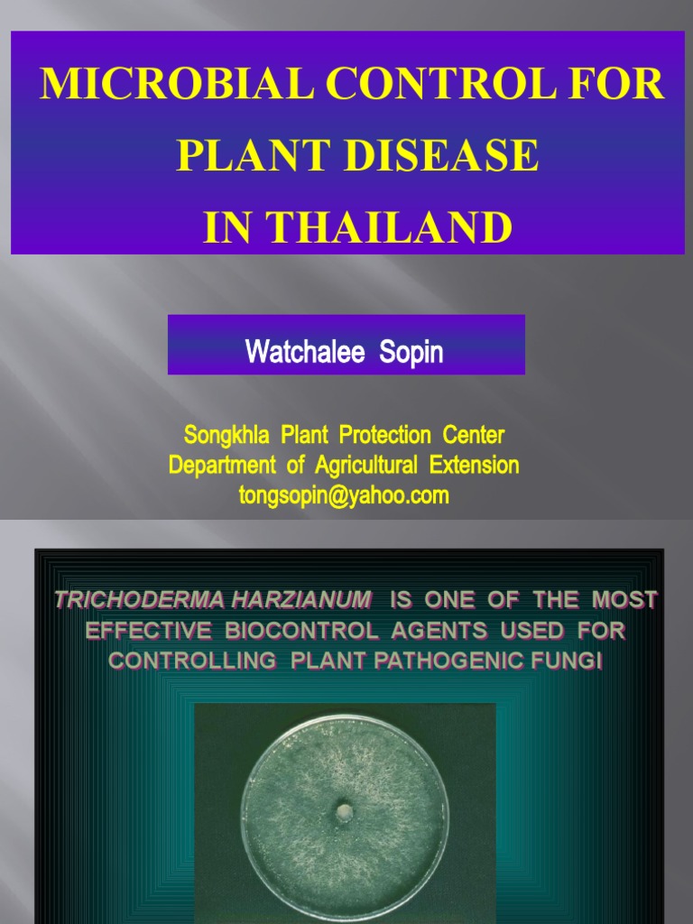 Controlling Plant Diseases Through the Effective Biocontrol Agent ...