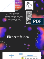 Fiebre Tifoidea