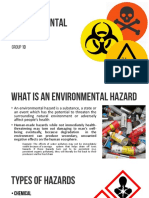 Environmental Hazards: Group