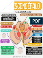 CONJUNTO DE HOJAS DE BIOLOGIA 1 3