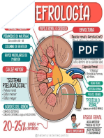 CONJUNTO DE HOJAS DE BIOLOGIA 1 10