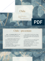 Chile-proiect geografie