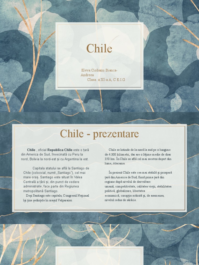 Chile-Proiect Geografie | PDF