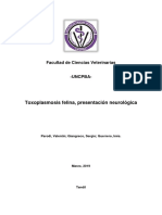 Toxoplasmosis felina neurológica