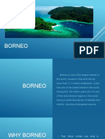 Borneo, Realizado Por Lara Fragoso