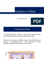 Gasto energético e fatores que influenciam a fadiga