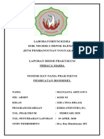 Laporan Biodiesel 02 XIII KIB