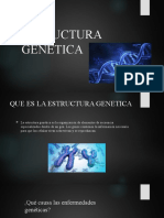 Estructura Genetica