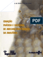 Criação Prática e Racional de Abelhas Bem Ferrão Da Amazônia