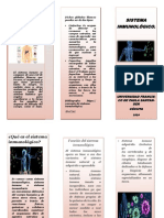 Folleto Anatomia