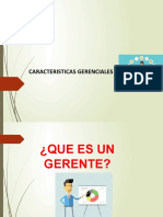 Caracteristicas Gerenciales