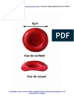 Globule rouge (le) TD KDSS