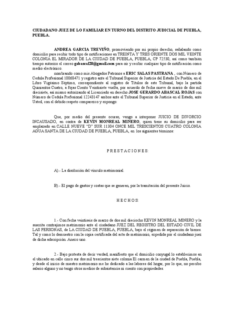 Solicitud de Divorcio Incausado en Puebla | PDF | Divorcio | Demanda ...