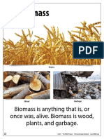 Biomassp