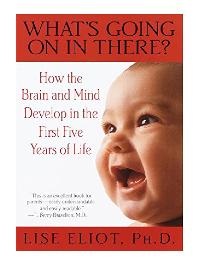 What's Going On in There? How The Brain and Mind Develop in The First