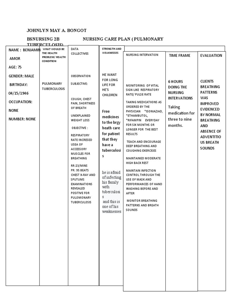 Johnlyn May A. Bongot Bsnursing 2B Nursing Care Plan (Pulmonary