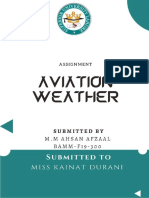 Aviation Weather: Hafiz Esha BAMM-F19-158