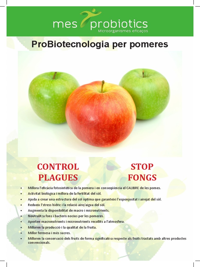 Poma | PDF