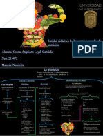 Conceptos Nutricion