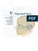 79 Trigeminal Nerve