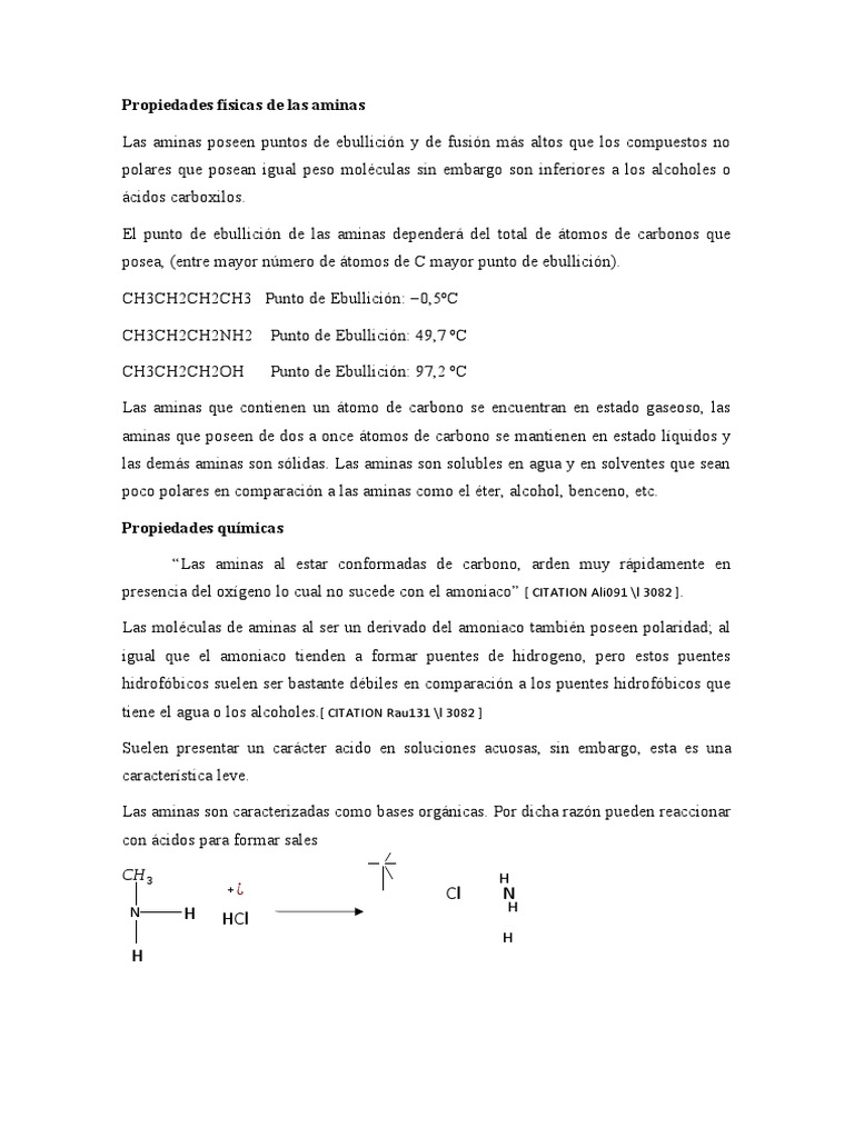 Propiedades Físicas de Las Aminas PDF