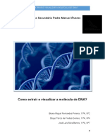 11ºano Relatório BG DNA