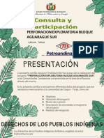 Consulta y Participacion-Hidrocarburos