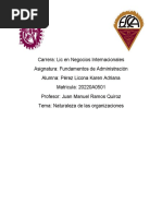 Naturaleza de Las Organizaciones1