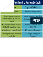 Diferencias Fotosintesis y Celulas