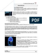 Sistema Nervioso Caracteristicas