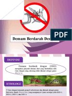 Demam Berdarah Dengue (DBD