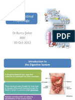 13 Human Physiology Gastrointestinal Physiology