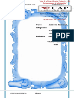 292102923 Informe Empresa Petroperu Auditoria Ambiental