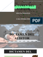 Dictamen Del Auditor