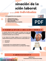 Terminación de La Relación Laboral-Causas Individuales