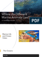Where Do Different Marine Animals Live