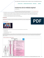 Introducción A Los Trastornos de La Médula Espinal - Enfermedades Cerebrales, Medulares y Nerviosas - Manual MSD Versión para Público General
