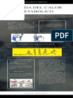Medida Del Calor Metabolico, Sebastian Lopez