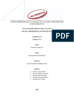 Estudio de Mercado (1) (1) (3) (1) - Páginas-Eliminadas-Fusionado