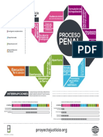 Procesopenal Infografia