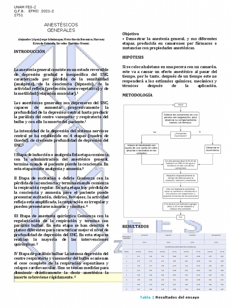 Análisis de las diferentes etapas de la anestesia general inducida por ...