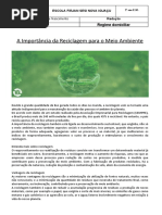 Aula 14 - A Importância Da Reciclagem 1